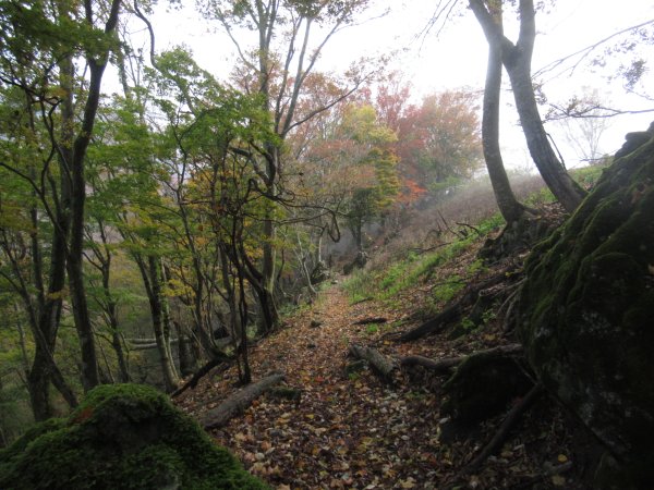 登山道
